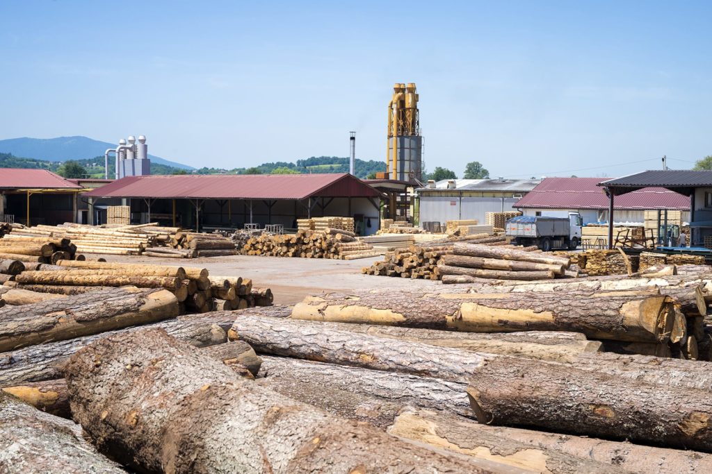 sortierung-aushaltung-holz